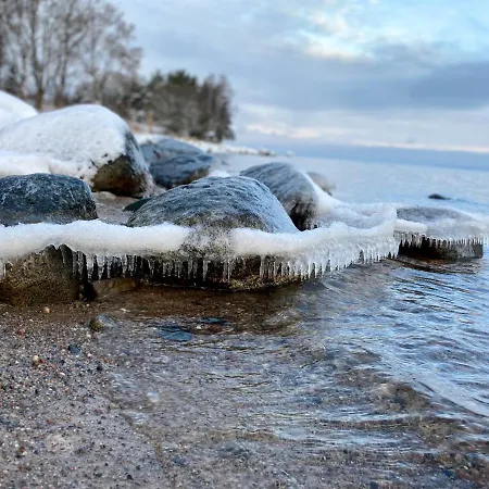 Ennu's Hut Campingplads