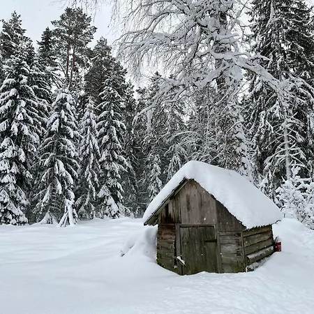 Ennu's Hut Κάμπινγκ Loksa