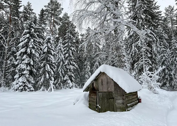 Ennu's Hut Campeggio Loksa